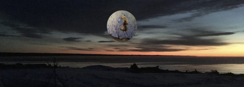 COURS RÉALISÉS, PRODUITS ET ANIMÉS EN&nbsp;CLASSE